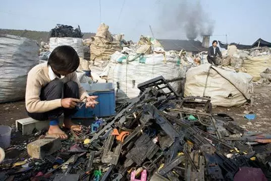 电子垃圾污染土壤淋洗处理技术