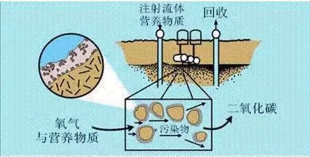 土壤微生物修复技术