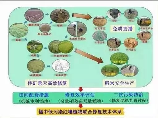 土壤微生物修复技术